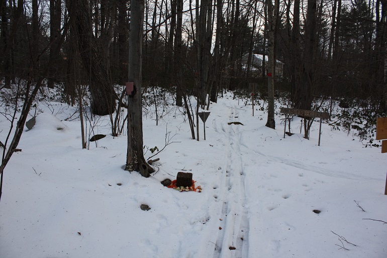 Deer Feeding Block